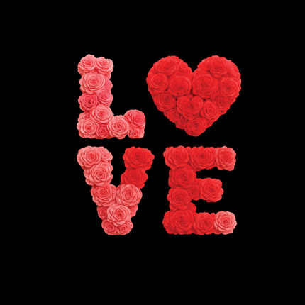Collection image for: Valentines Day
